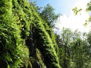 Tonto Natural Bridge 026